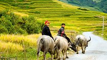 3 Day Lao Chai Ta Van Cat Cat Sin Chai Ma Tra Ta Fin from Hanoi by limousine bus