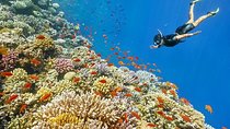 Mahmaya – Giftun Snorkelling Trip