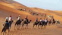 4-Day Tour From Marrakech to Zagora Desert and Merzouga Camel Trek