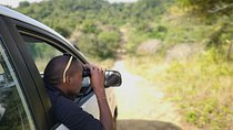 Addo Elephant Park multi-day Photo Safari