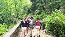 Tours and Transfers