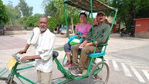 Private Day Trip to Keoladeo National Park from New Delhi