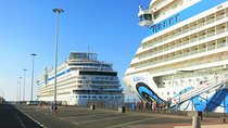 Transfers to/from Danube Port: Bucharest - Turnu Măgurele 