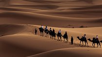 Morning Desert Safari with Dune Bashing and Sand Boarding