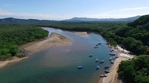 Tamarindo River Boat Tour