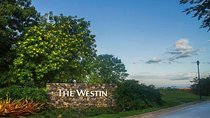 Shuttle Service From Liberia Airport To The Westin Golf & Resort, Playa Conchal