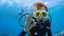 Scuba Diving at Catalina Island - 2 tank - for Certified Divers