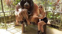 Wildlife & Colonial Charm: Taiping & Orang Utan Island Tour
