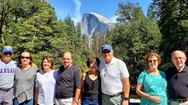 Yosemite National Park 1-Day Private Tour from San Francisco or Yosemite Area 