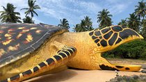 Galle Day Tour 