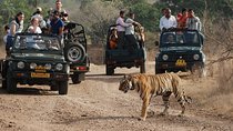 5 Days Golden Triangle Tour with Ranthambore Tiger Safari