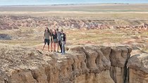  Gobi and Grassland Mongolia 7N8D