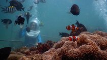 Bali Water Sport : Sea Walker,Donut Boat and Banana Boat with Hotel Transfers