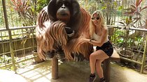 Ipoh Heritage & Orang Utan Island Day Tour from Kuala Lumpur