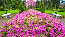 Immerse in Culture: Villa Escudero Coconut Plantation Experience