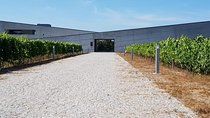 Dão Wine Region: Portuguese version on Bordeaux