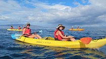 4-Hour Makena Whale Watch Tour