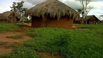 Bagamoyo Historical tour - Full Day. (Ivory and Slaves Trade) 