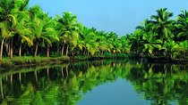 Cochin Shore Excursion: Backwater Houseboat Tour and Chinese Nets