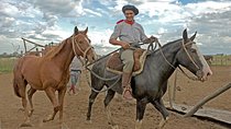 Private Tour to San Antonio de Areco: Gaucho town & Estancia from Buenos Aires
