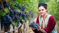 Crmnica Wine Road and Skadar Lake Cruising Tour