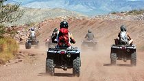 Etna Quad on the Volcano Day (ATV)