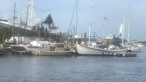 Sponge Dock Stroll