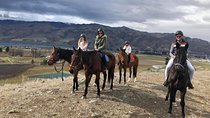 Golden Hills Horse Treks
