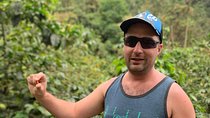 Coffee tour