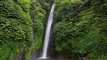 Exploring Munduk Village (Waterfalls, rice terrace, Traditional local house) 