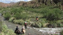 Full day ride at the foot of The Andes 