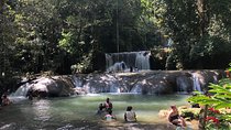 Black River Safari, YS Falls and Appleton Estate 