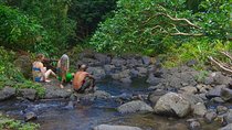 Custom Island Adventure Tours