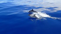 Semi-private Antiparos & Caves Blue Lagoon OR Rina Cave & Small Cyclades