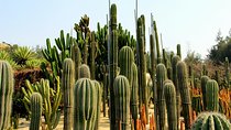 Flexible Xiamen Private Half Day Tour to Experience Xiamen Botanical Garden