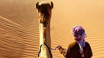 Sunrise Desert Safari from Abu Dhabi 