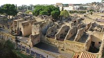 Herculaneum Discovery Tour from Naples