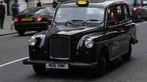 Private Half Day London Tour With Car/Black Cab/MPV/Van/Coach