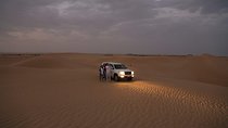 Dubai Dinner in The Desert Private Basis - Skip the dune bashing 