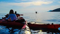 Kayak Adventure