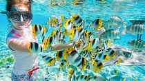  Giftun Island Snorkeling Trip with Lunch