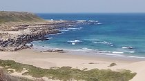 Guided Marine Walk: - Sardinia Bay (Marine Protected Area) - 2 hours
