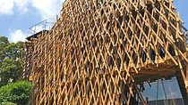 Guided Architecture Tour of Harajuku and Omotesando