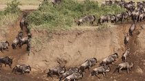 3 Days Best Of Kenya 