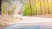 Self-Guided Arlington Scavenger Hunt: What Dreams Are Made Of