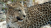 3 Days Lake Nakuru Safari
