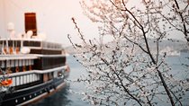 Private Transfer-Prague to River Cruise Dock Nuremberg: Port / Harbor transport