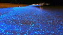 Luminous Lagoon Tour from Grand Palladium