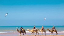 Day trip to Essaouira (Sea Side)