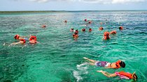 Catalina Island DayTrip + Great Snorkeling 